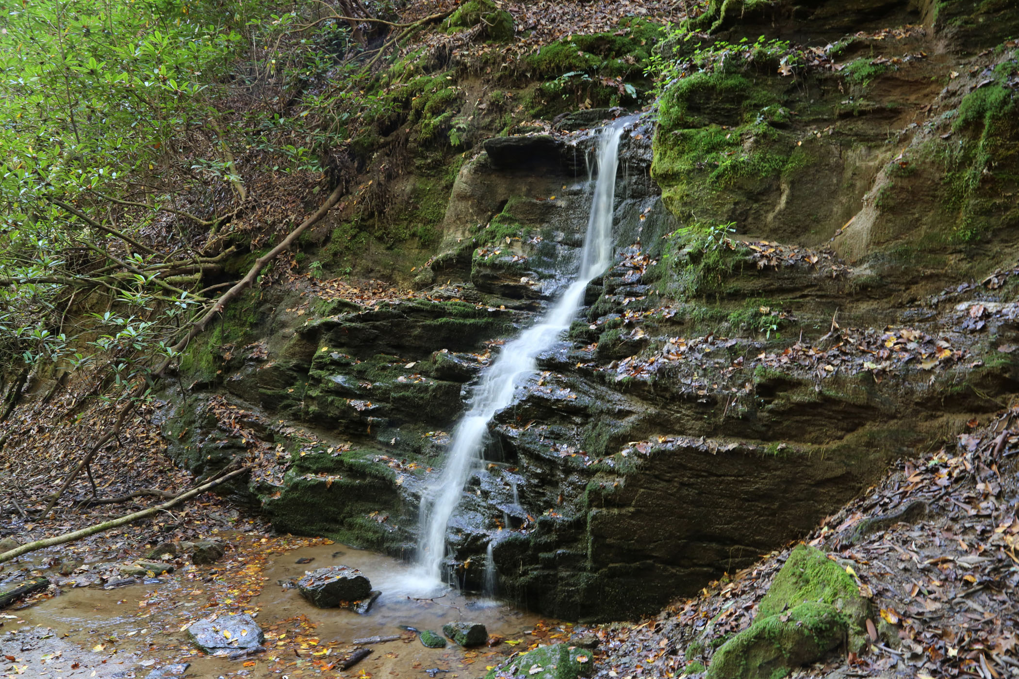 Becky Branch Falls – Southeast Waterfall & Hiking Guide