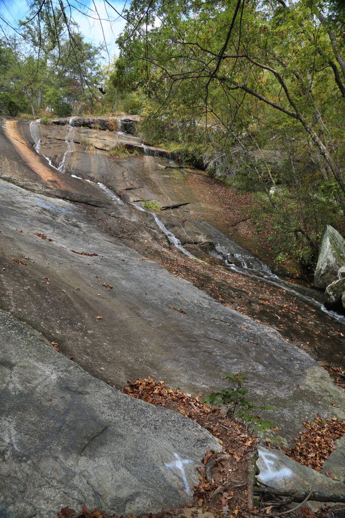 Upper Wildcat Branch Falls