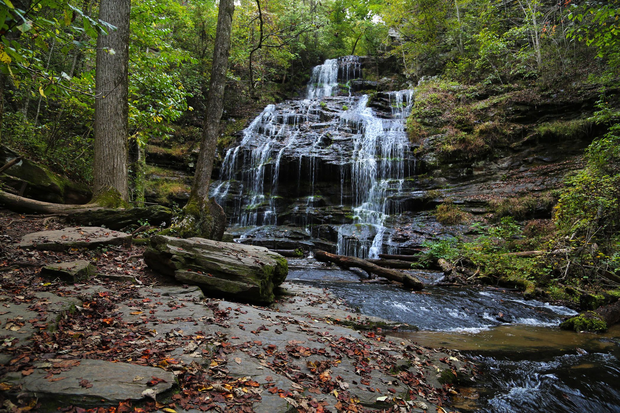 Station Cove Falls – Southeast Waterfall & Hiking Guide