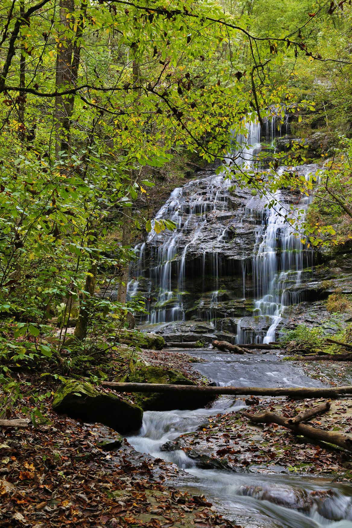 Station Cove Falls – Southeast Waterfall & Hiking Guide