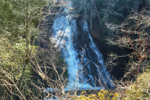 Batson Creek Falls 1