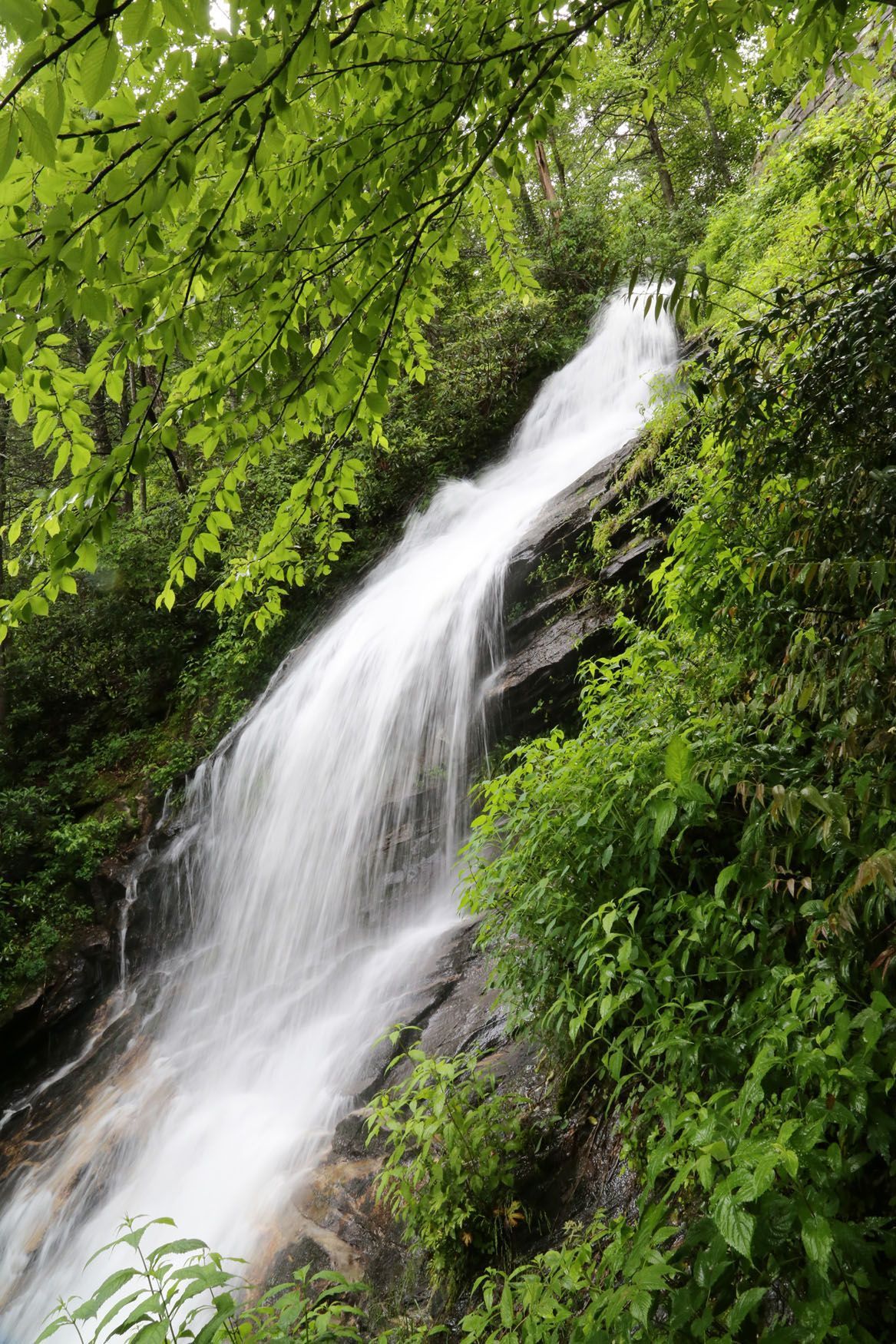 Cascade Falls/The Cascades – Southeast Waterfall & Hiking Guide