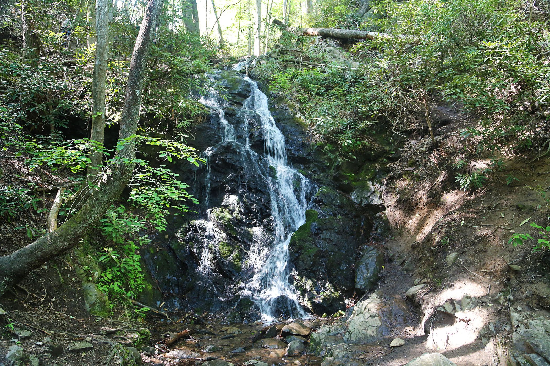 Cataract Falls – Southeast Waterfall & Hiking Guide