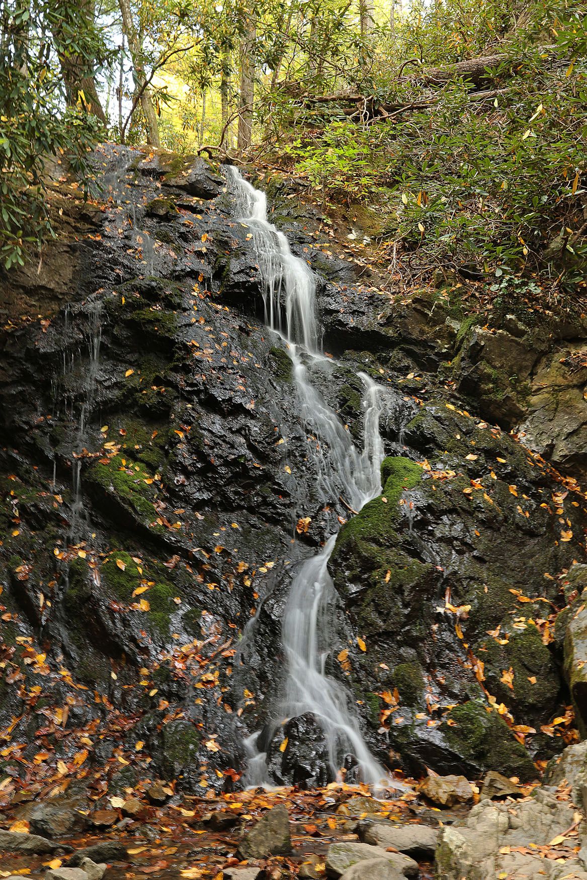 Cataract Falls – Southeast Waterfall & Hiking Guide