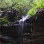 Moore Cove Falls 2