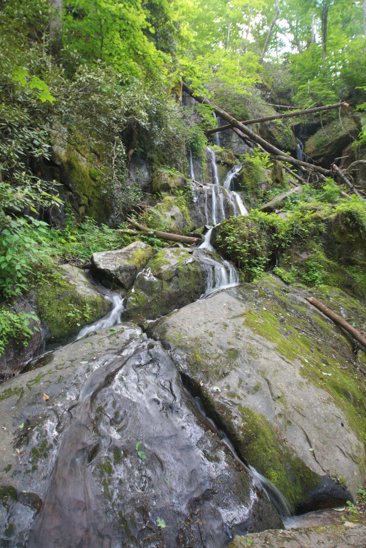 Place of a Thousand Drips – Southeast Waterfall & Hiking Guide