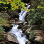Top of Skinny Dip Falls From Bridge