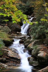 Top of Skinny Dip Falls From Bridge