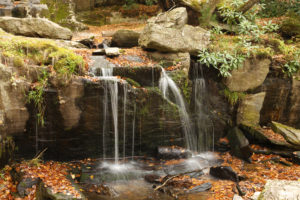 Waterfall Park 6