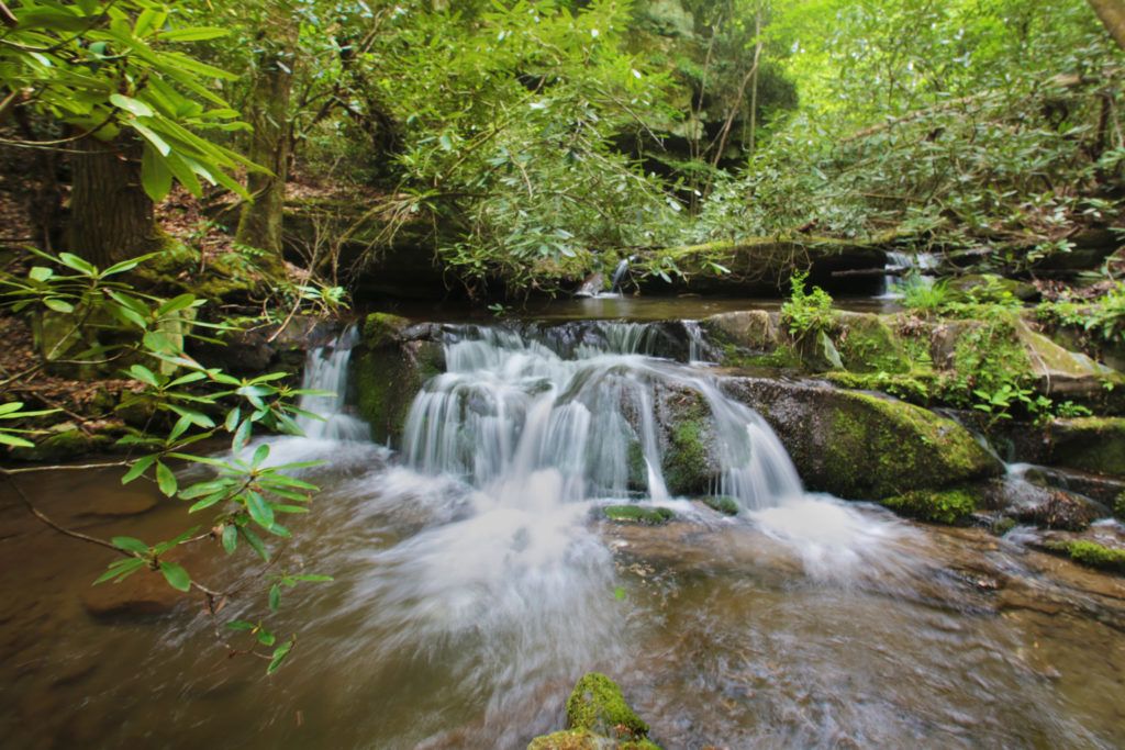 Oldhamii Falls