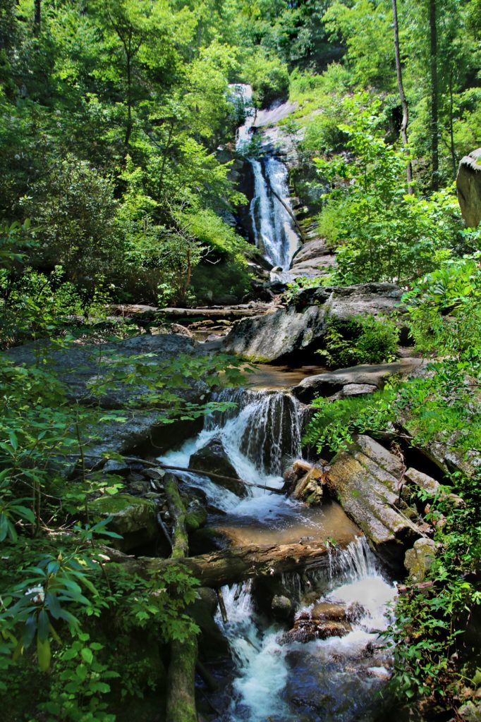 Toms Creek Falls View From Overlook