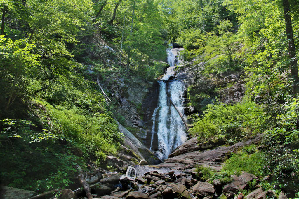 Toms Creek Falls View From Base