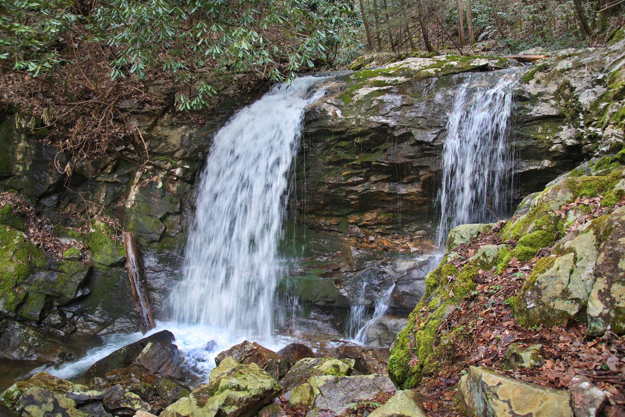 Pine Ridge Falls – Southeast Waterfall & Hiking Guide