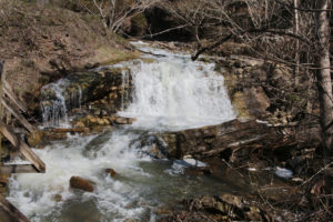 Rooster Front Falls