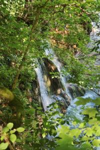 Part of Mill Springs Mill Falls as visible through the trees