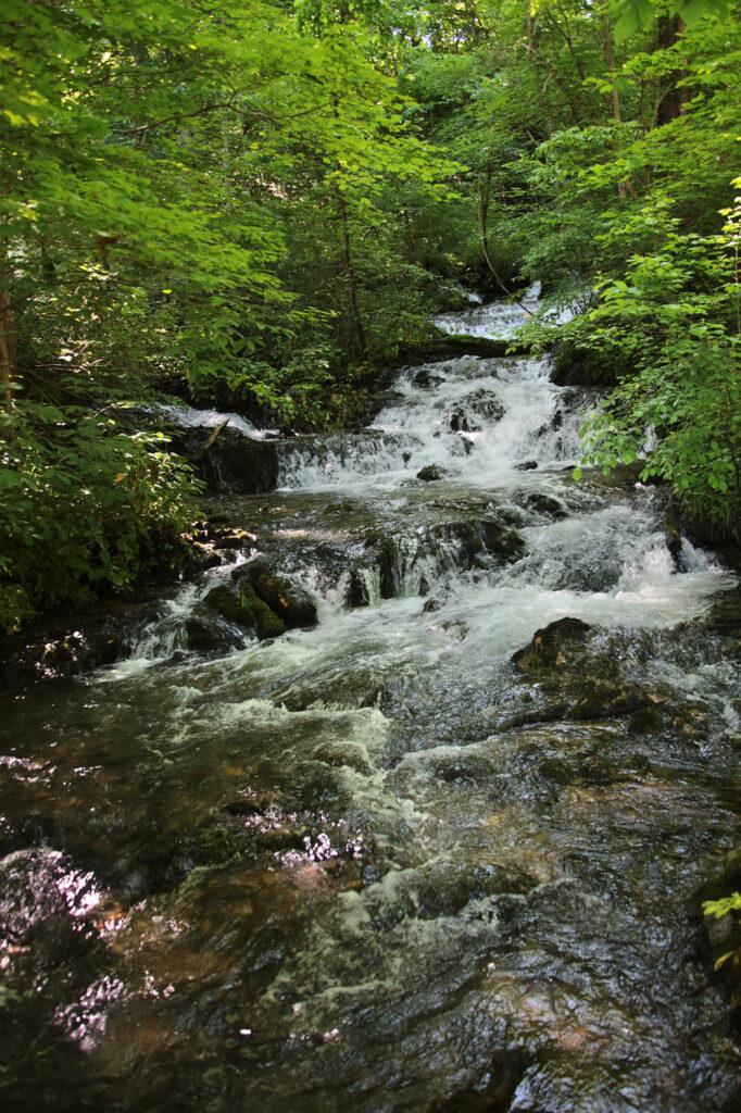 One of the waterfalls located at Mill Springs Mill