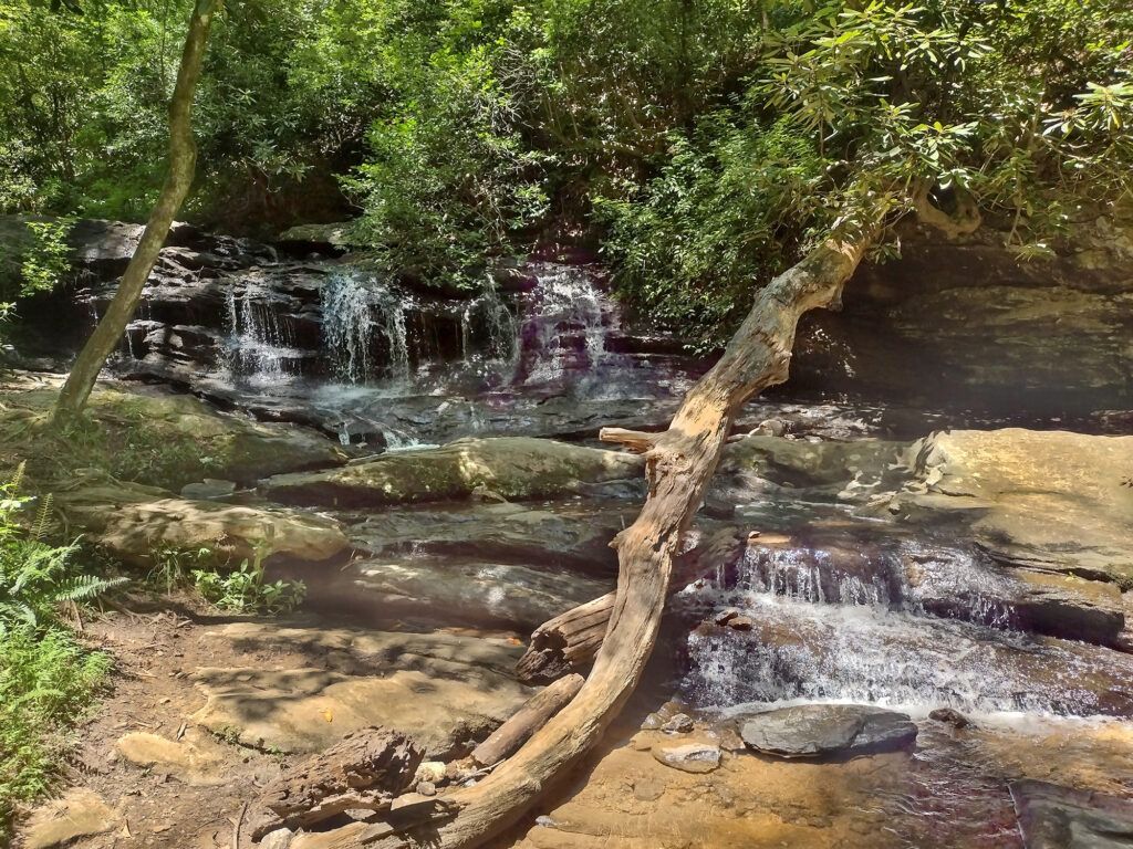 Pleasant Ridge Falls