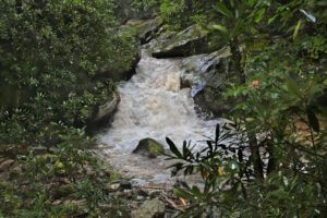 Rocky Fork Falls