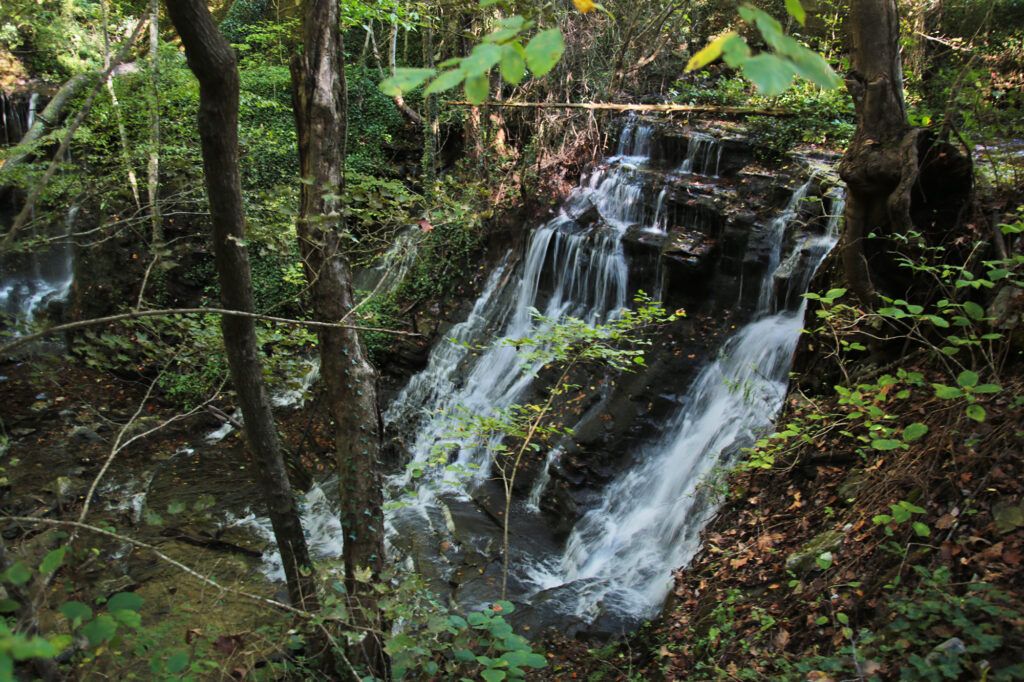 Side View of Ledford Mill Falls