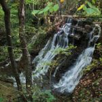 Side View of Ledford Mill Falls