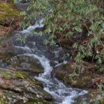 Meadow Branch Cascades