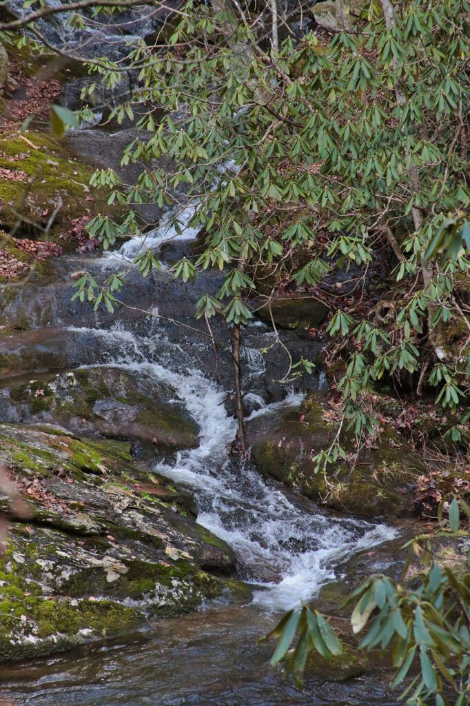 Meadow Branch Cascades