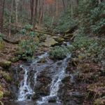 Whiteoak Flats Branch Falls