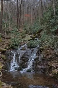 Whiteoak Flats Branch Falls