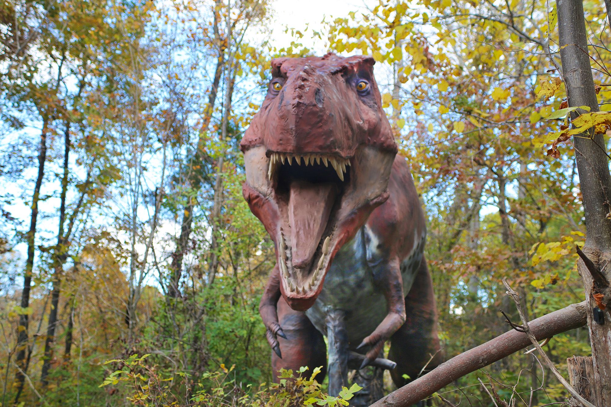 Backyard Terrors Dinosaur Park – Southeast Waterfall & Hiking Guide