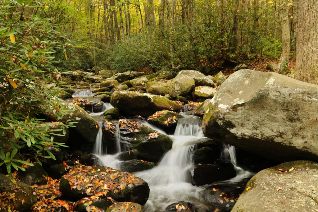 Cascades on Roaring Fork Motor Trail