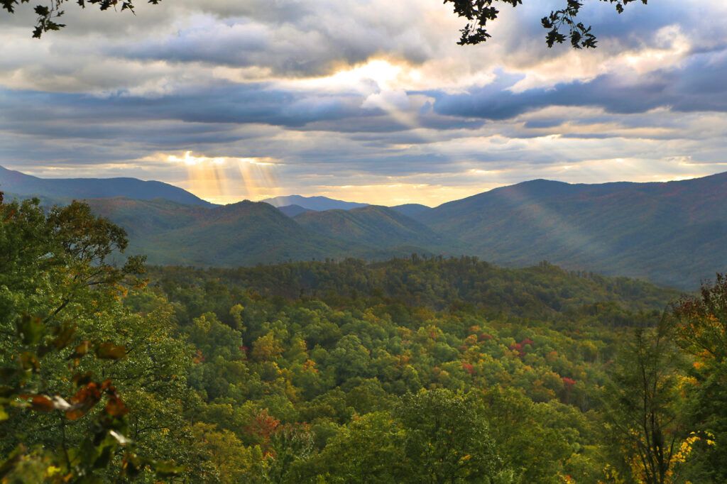 Roaring Fork Motor Trail overlook